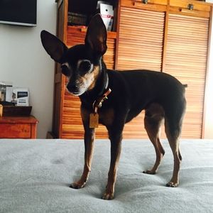 Meet your Posher, Marcela